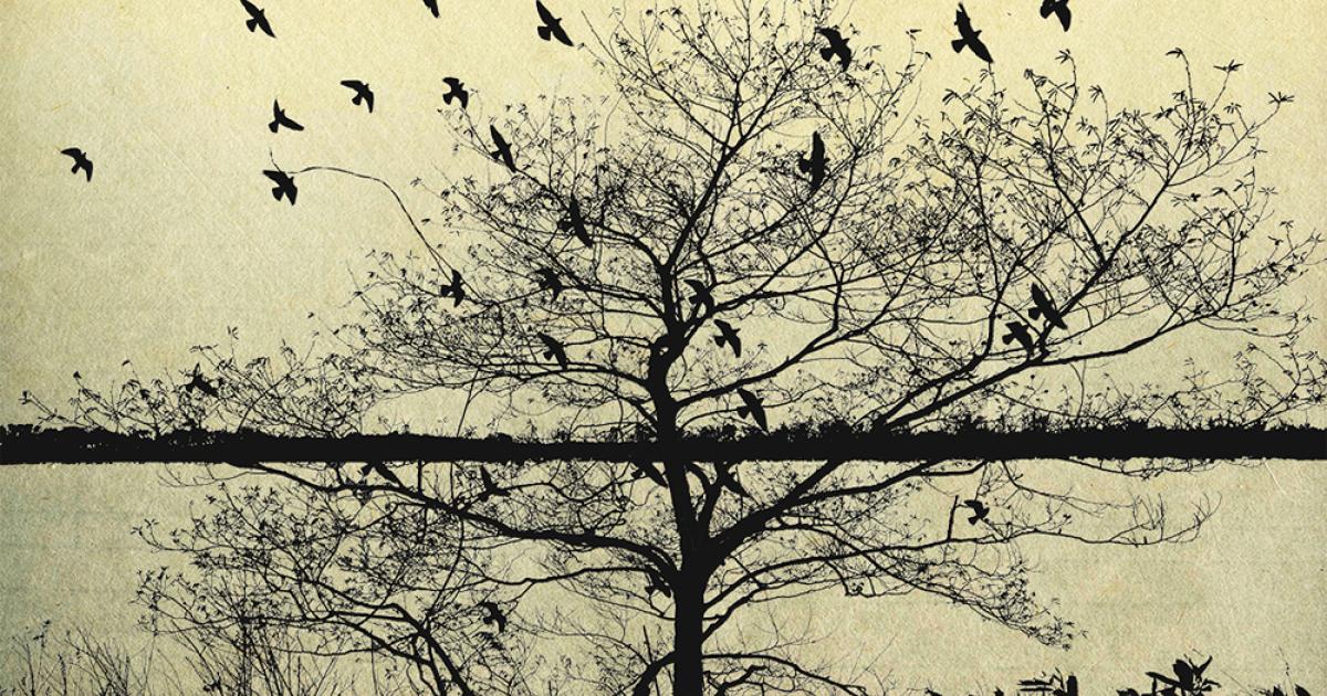 a_tree_on_the_moor_fumio_yamag