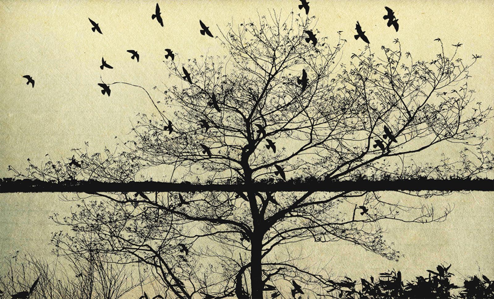 a tree on the moor, Fumio Yamaguchi – René Carcan International