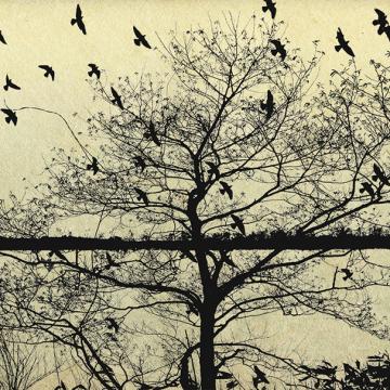 カシニョール 、【UNDER THE TREE】、日本未発売、希少画集画 a tree on the moor, Fumio Yamaguchi – René Carcan International