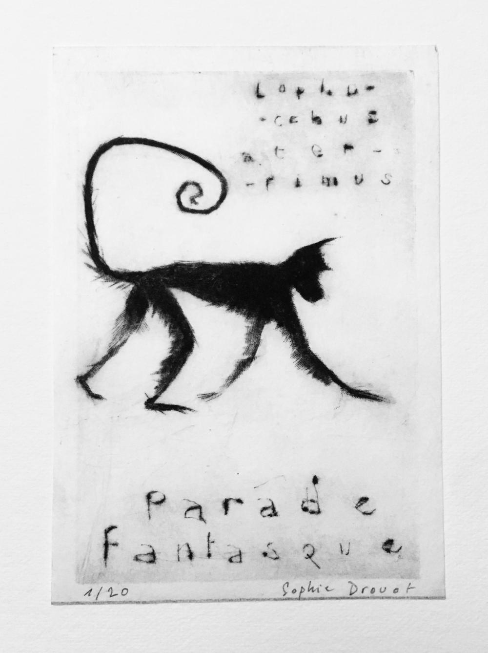 Lophocebus aterrimus Parade fantasque