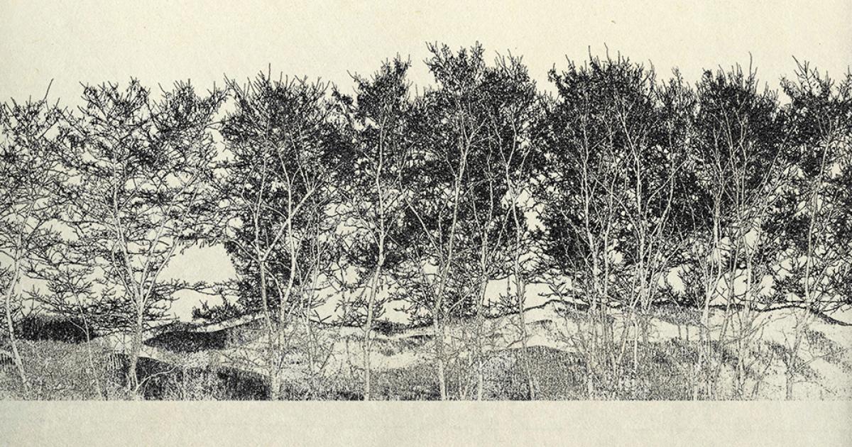 landscape_in_the_nothern_area_