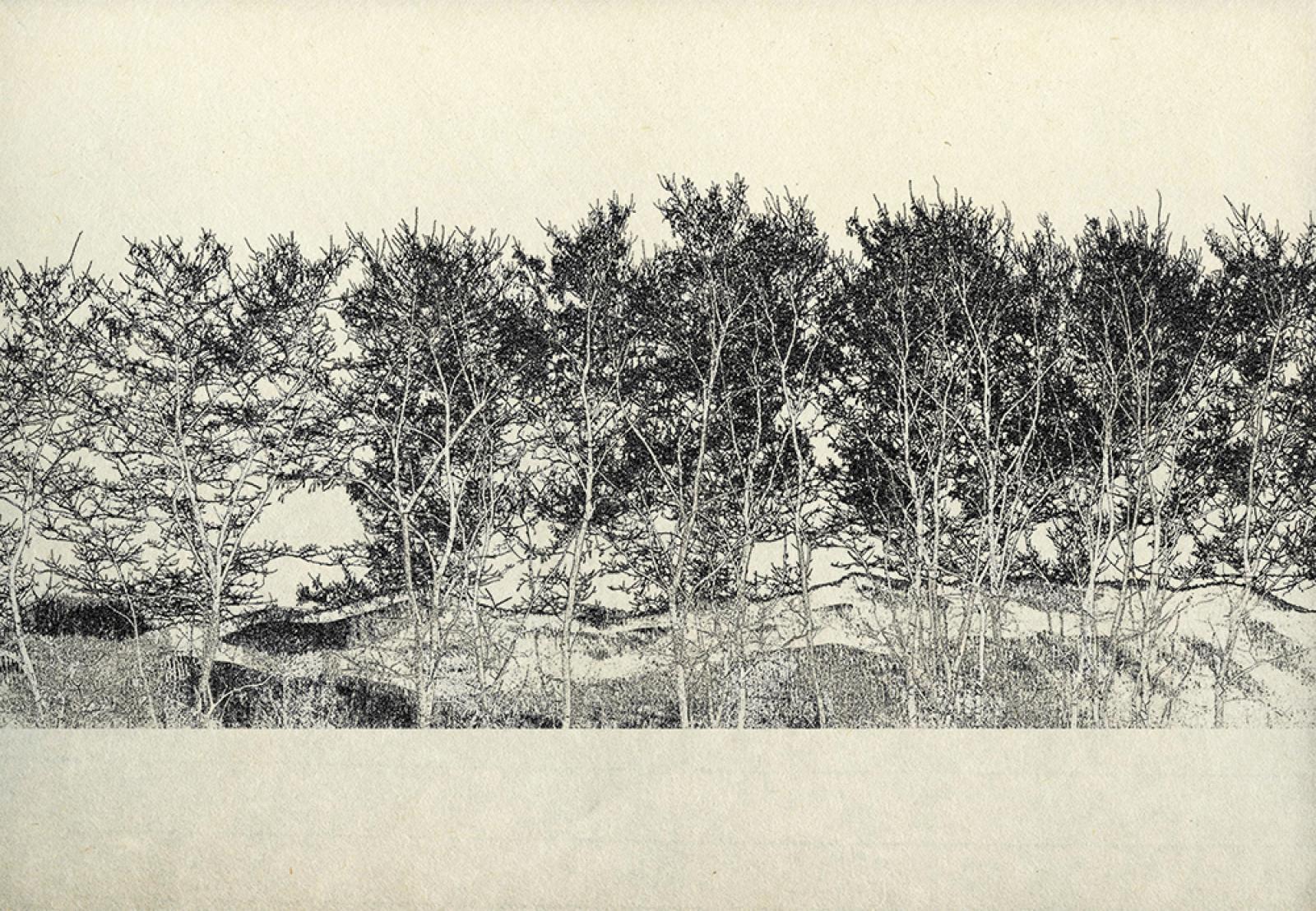 Winter Landscape _01, Fumio Yamaguchi – René Carcan International