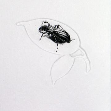 Beetle I